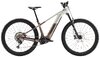 Trek Powerfly+ 8 EU L 29 Satin Lunar Silver/Bronze Age